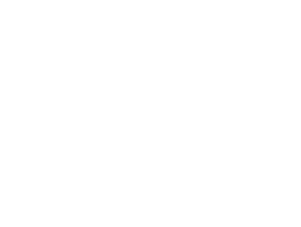 LC Arte en Hierro